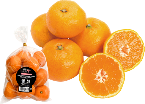 和歌山県産 有田みかん 舌鼓