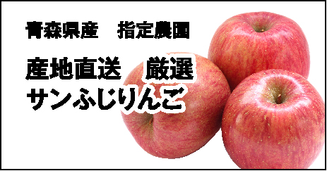 産地直送 厳選サンふじりんご