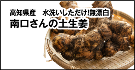 高知県産 水洗いしただけ！無漂白南口さんの土生姜