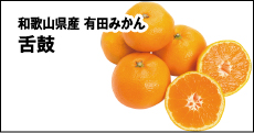 和歌山県産 有田みかん 舌鼓