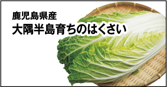 大隅半島育ちのはくさい