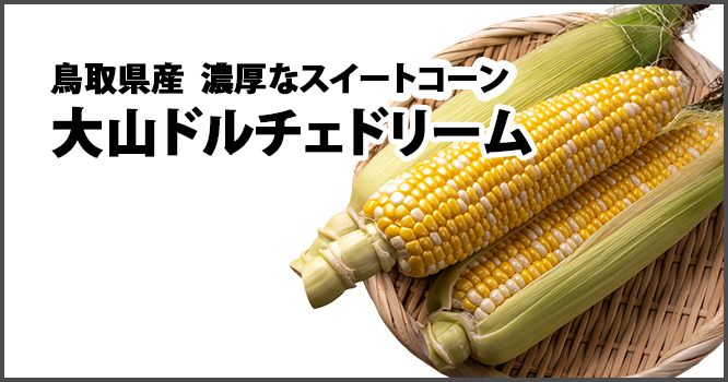 鳥取県産濃厚なスイートコーン 大山ドルチェドリーム