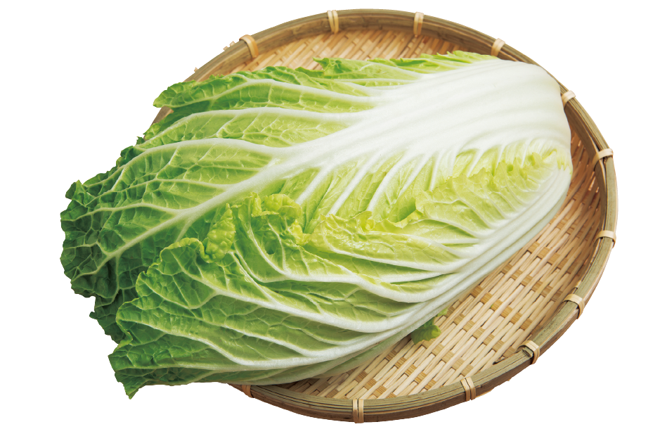 大隅半島育ちのはくさい